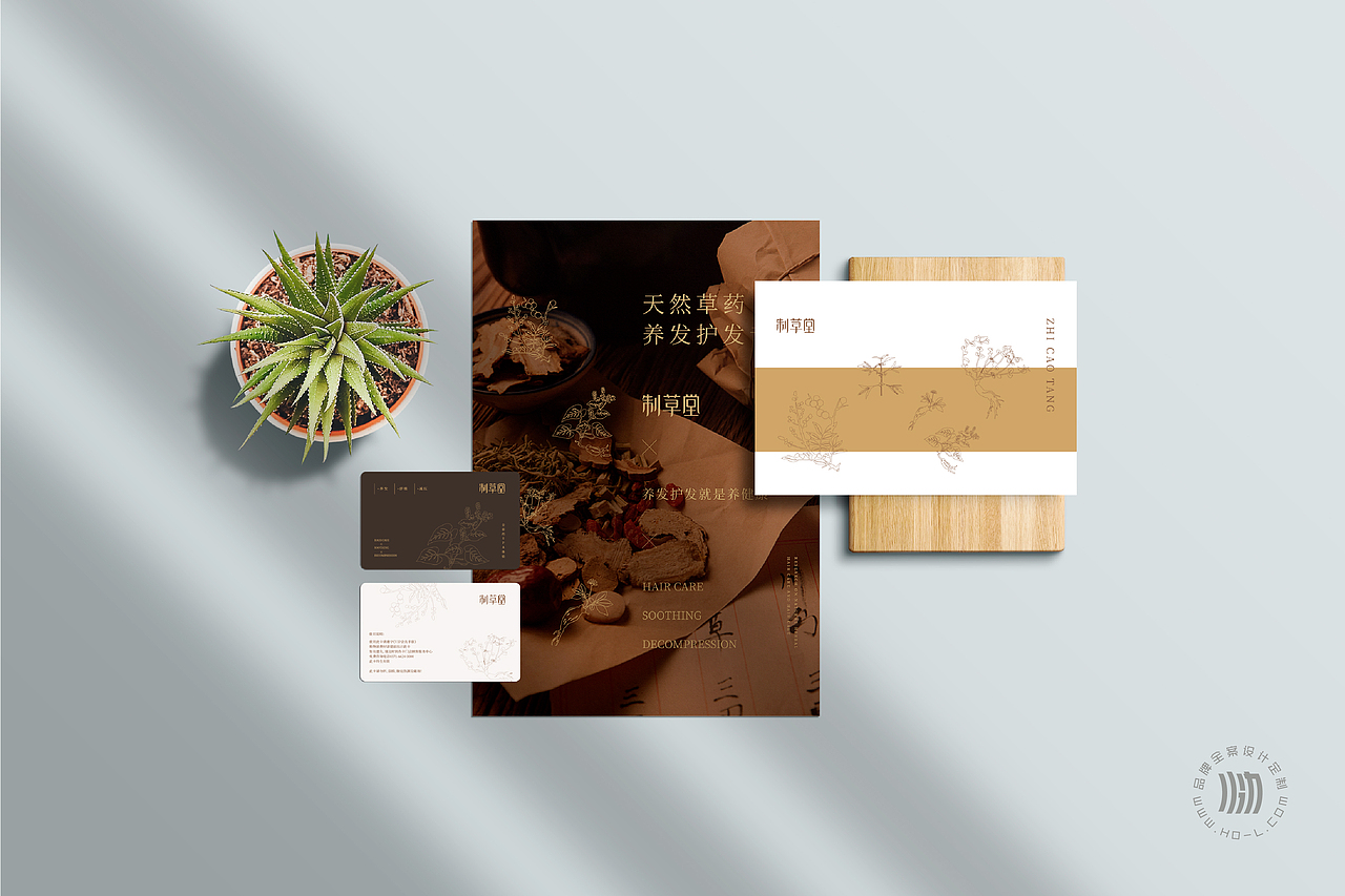 火力创新+制草堂=全草药SPA体验（图ZMjc1OTk3MjUy） - 品牌 - 站酷设计师火力原创素材 - 站酷ZCOOL
