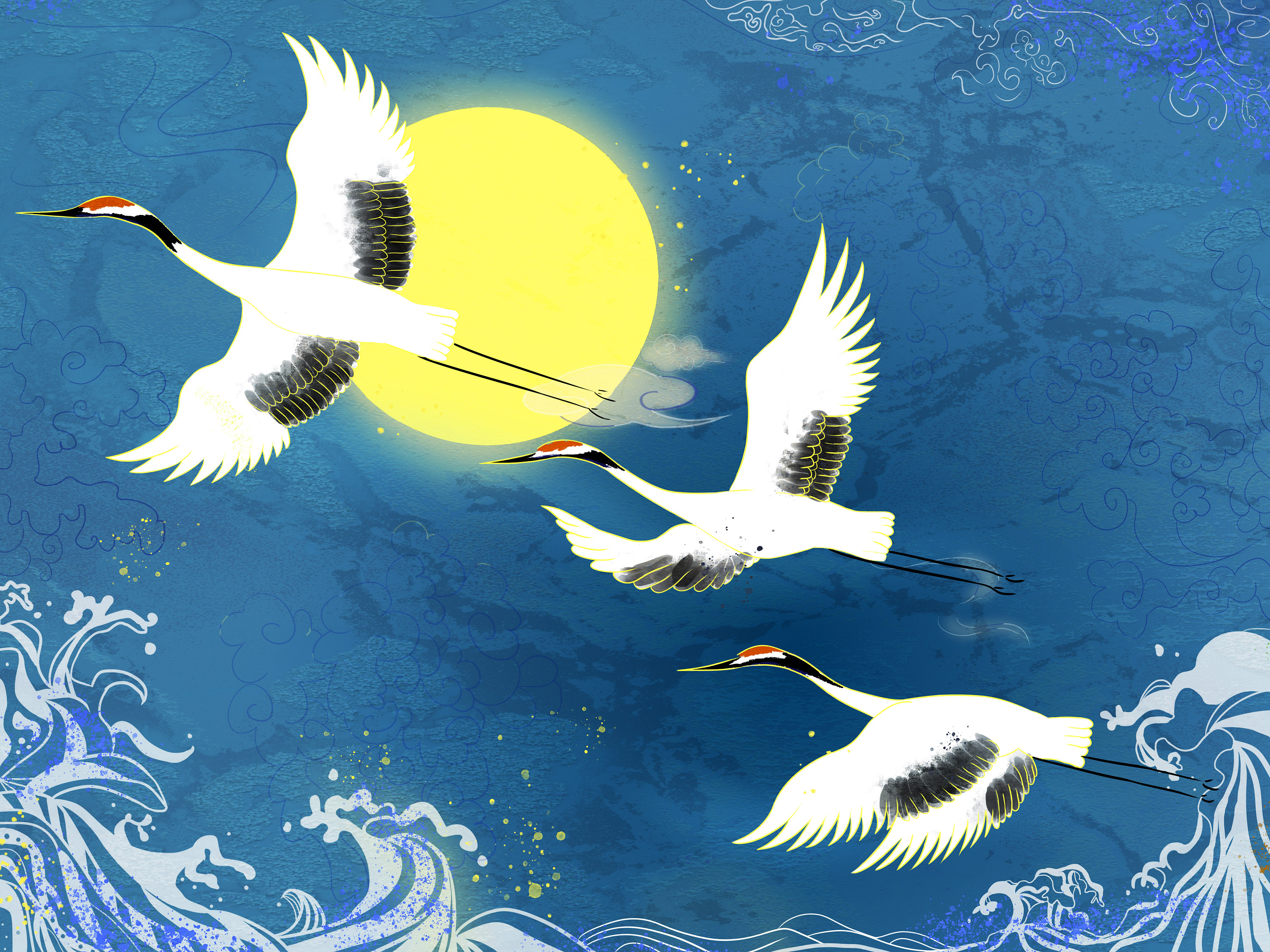 鹤|插画|插画习作|桃画画 - 原创作品 - 站酷 (zcool)