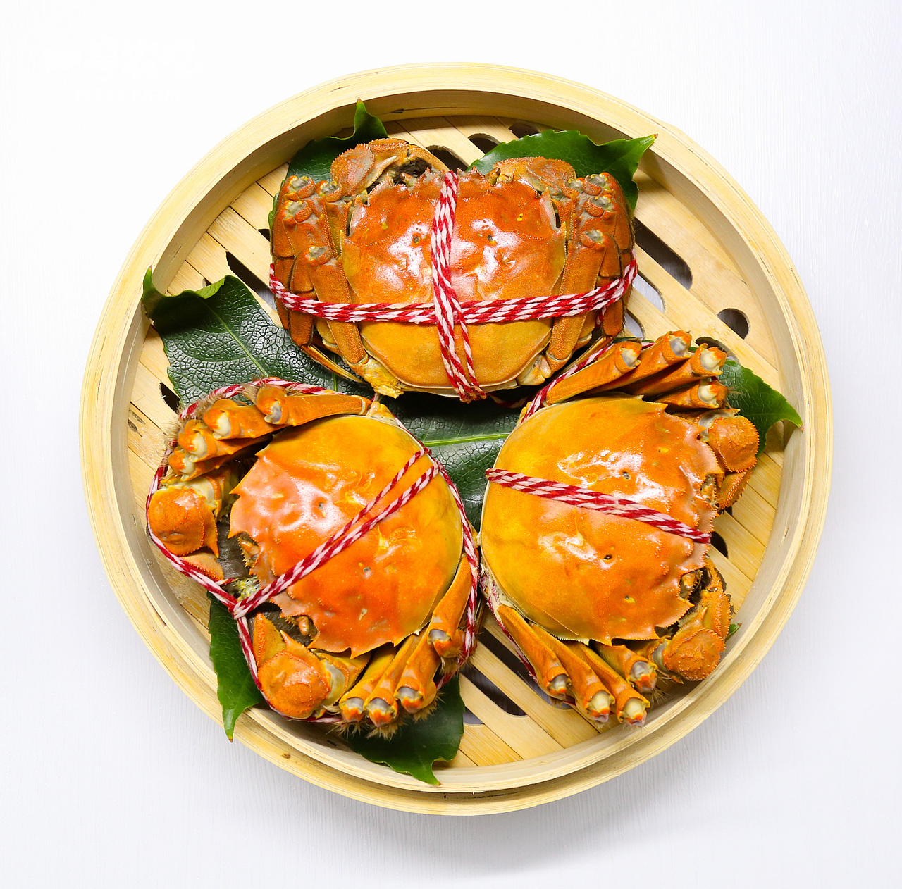 长荡湖大闸蟹拍摄