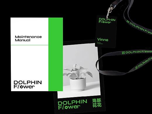 SPONGE DESIGN Project DOLPHIN FLOWER 海豚花花