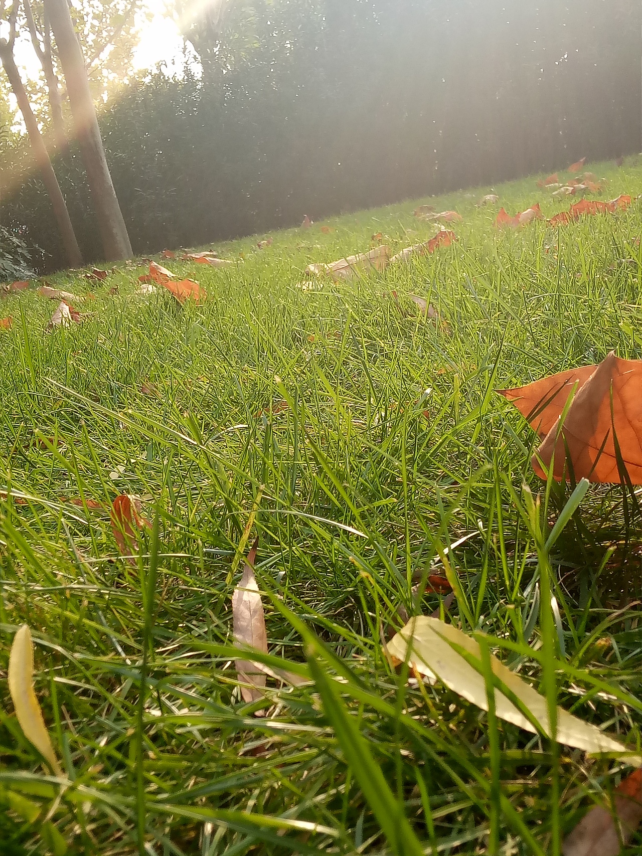 摄影（图ZMTg0OTU5NDI4） - 风光摄影 - 站酷设计师沫瑶宝贝吖原创素材 - 站酷ZCOOL