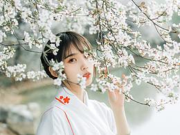 【综合摄影】