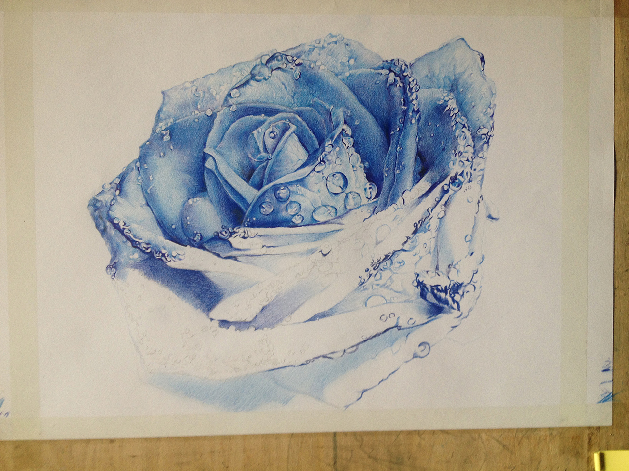 黑玫瑰（图ZNjE2NDc1ODA=） - 商业插画 - 站酷设计师Blake阿li原创素材 - 站酷ZCOOL