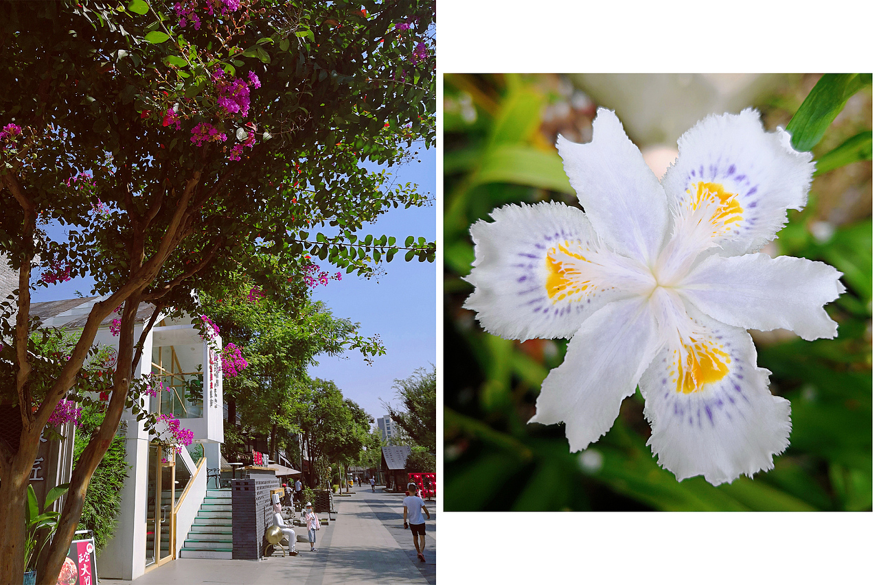 小梦的随手拍-第2期