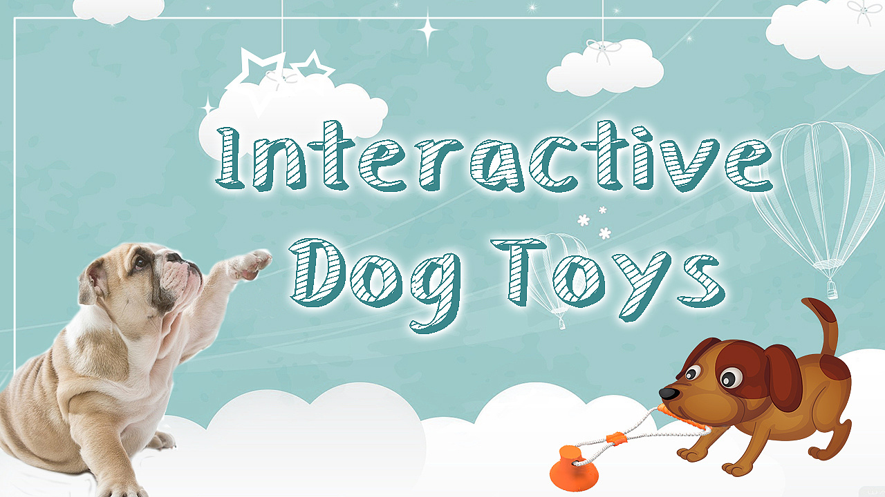 宠物玩具