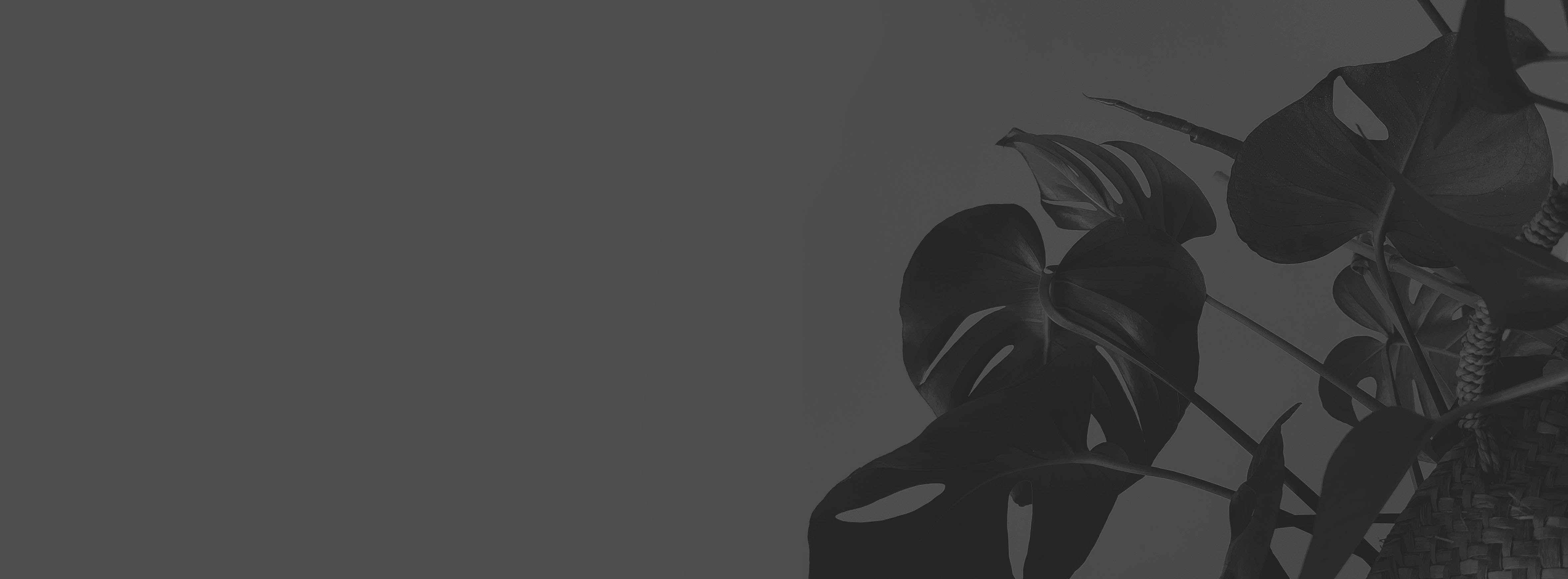 d阿玉的個(gè)人主頁(yè)（封面預(yù)覽） - 主頁(yè)封面設(shè)置 - 站酷設(shè)計(jì)師d阿玉原創(chuàng)素材 - 站酷ZCOOL