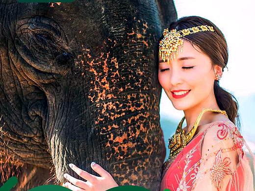 【纯甄版纳·昆明-西双版纳】旅游电商详情页