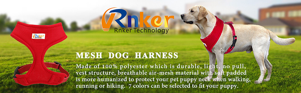 亚马逊海报设计