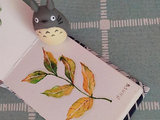 水彩||秋天的叶子