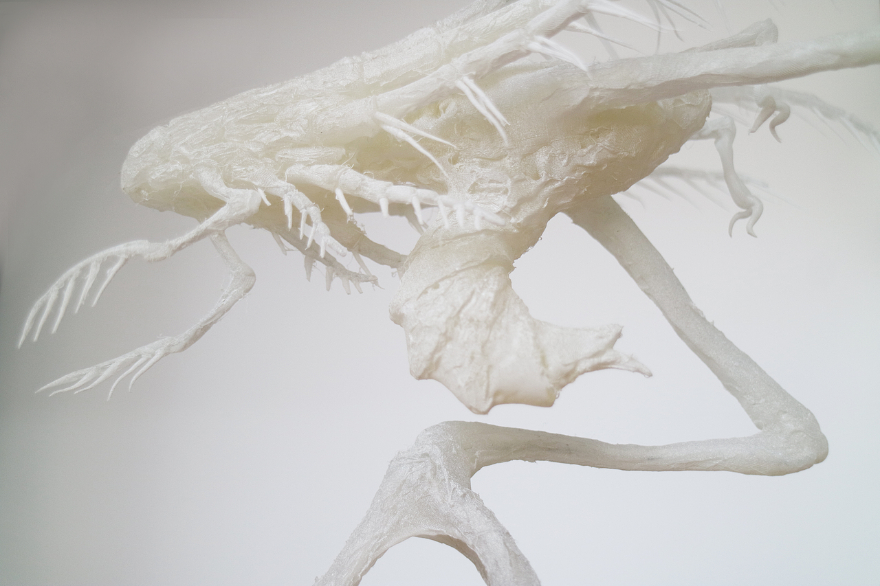 《诗经》中的昆虫（图ZMTcxMDk3NzEy） - 手办/模玩 - 站酷设计师鱿小哉原创素材 - 站酷ZCOOL