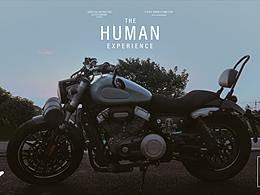 今个儿,大好的天