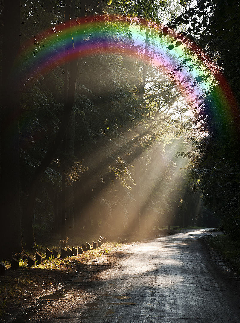 最美的雨后彩虹图片图片