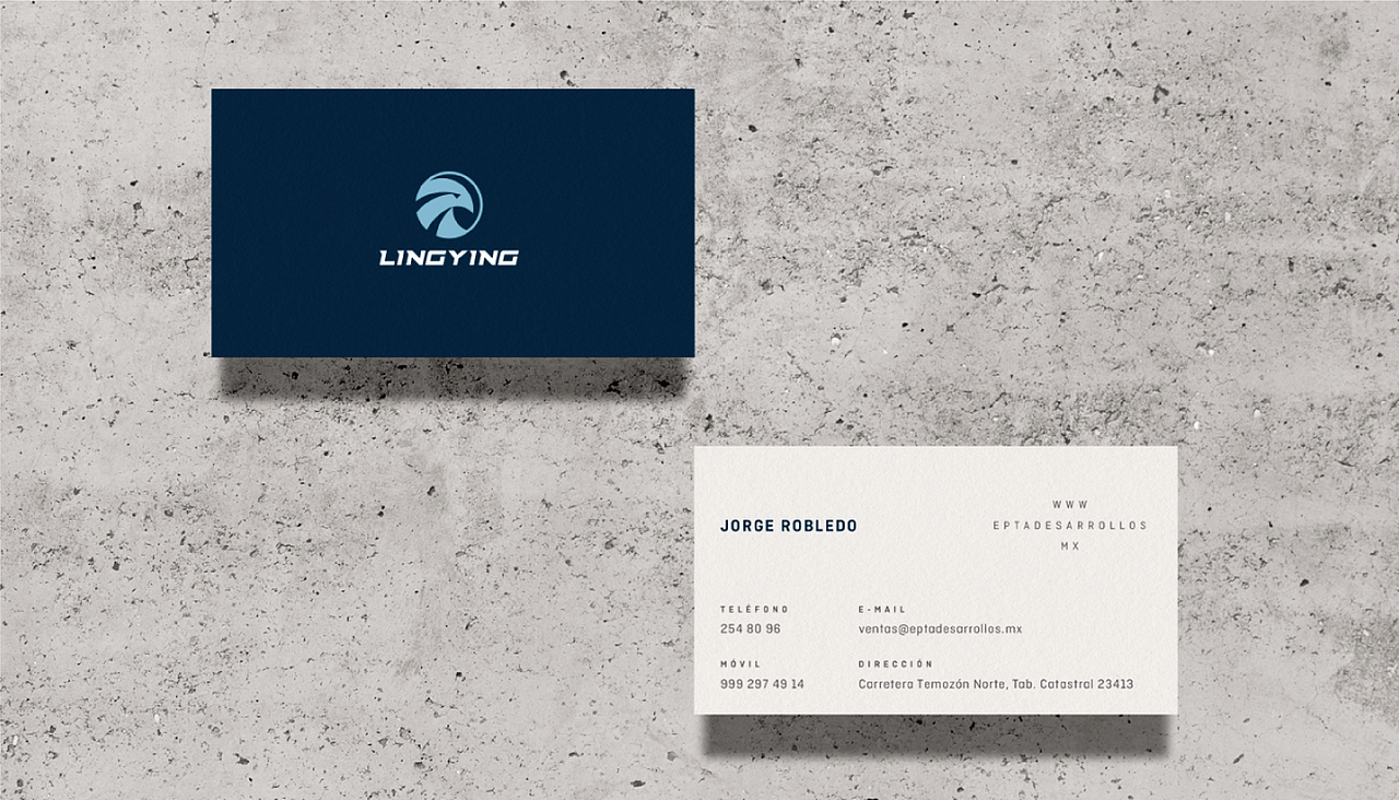 LINGYING 工业磨具logo