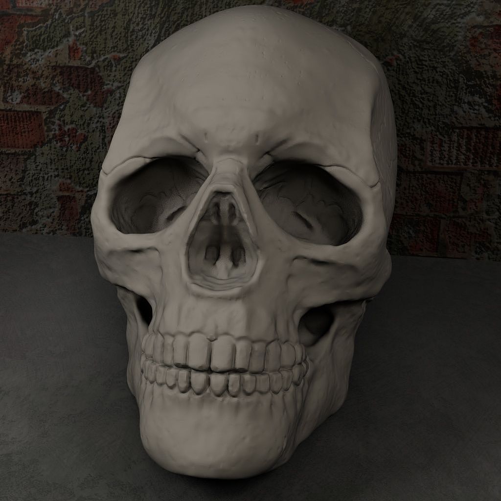 Zb第一次练习头骨雕刻 maya渲染 大二