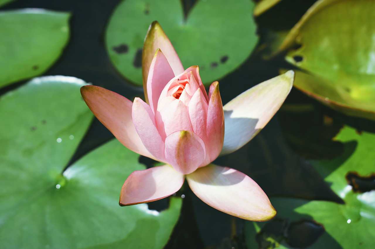 迷失厦门（图ZODkxNzAyODA=） - 风光摄影 - 站酷设计师WS王小帅原创素材 - 站酷ZCOOL