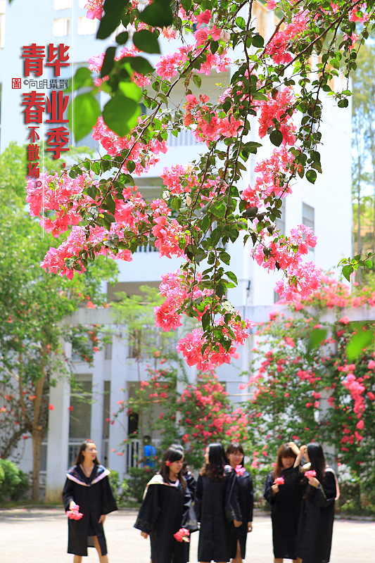 三亚学院毕业照