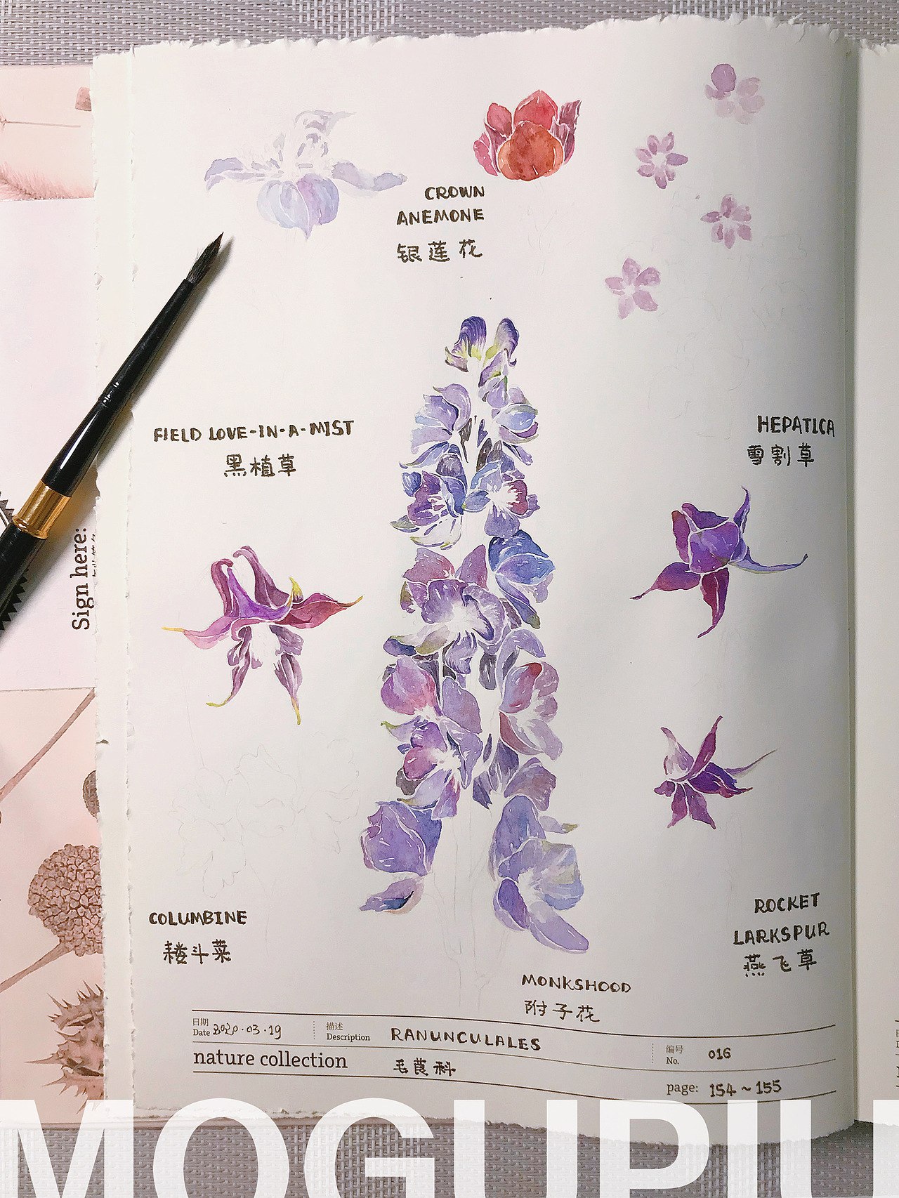 蘑菇PIU的自然笔记 关于春天 关于花开