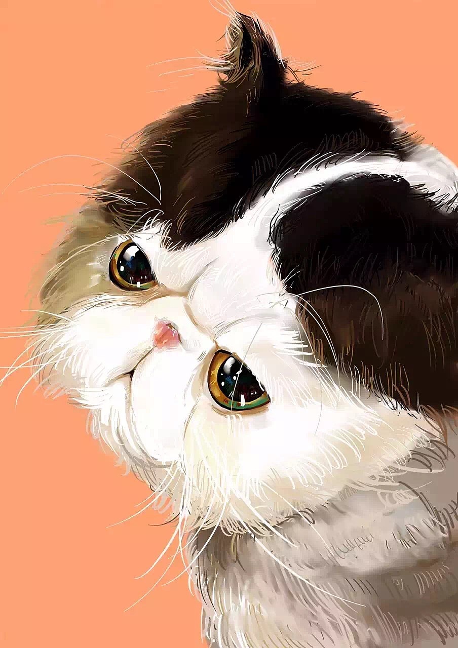 我家主子的男票