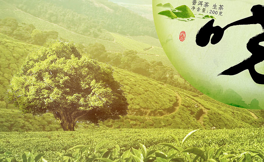 普洱春茶（图ZNzY1MzMwMTI=） - 修图/后期 - 站酷设计师oooozhou原创素材 - 站酷ZCOOL