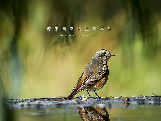 武汉 · 北辰 · 公园岸