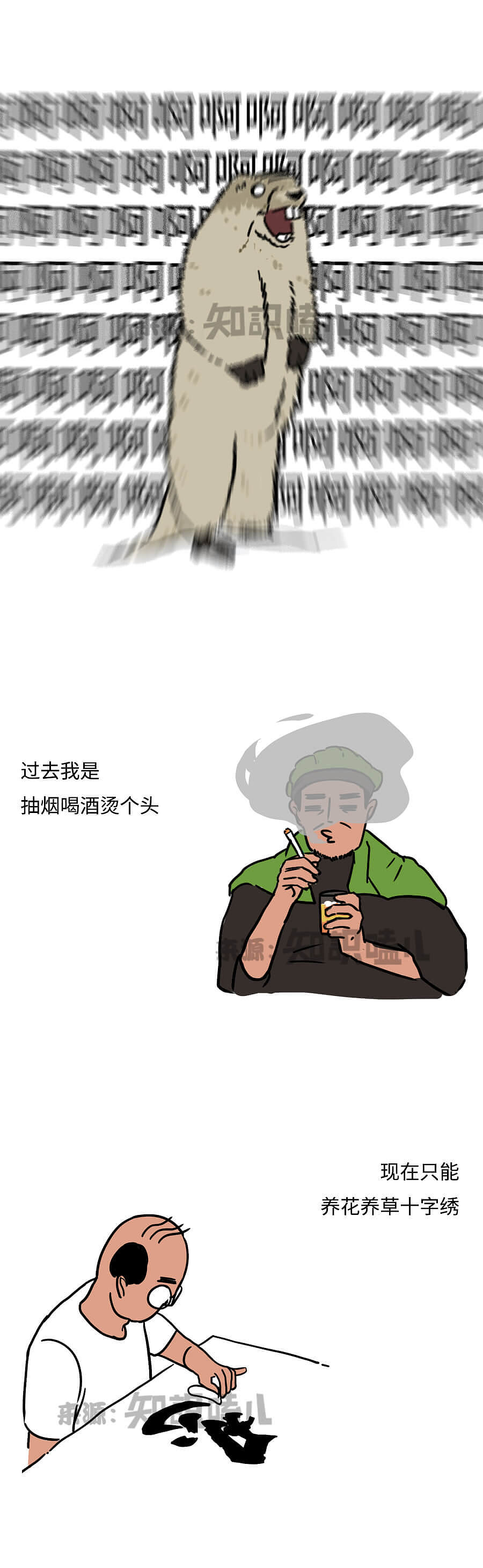 驾校潜规则：你给教练送过中华么？（图ZMTcyOTI5MjQw） - 中/长篇漫画 - 站酷设计师知识嗑儿原创素材 - 站酷ZCOOL