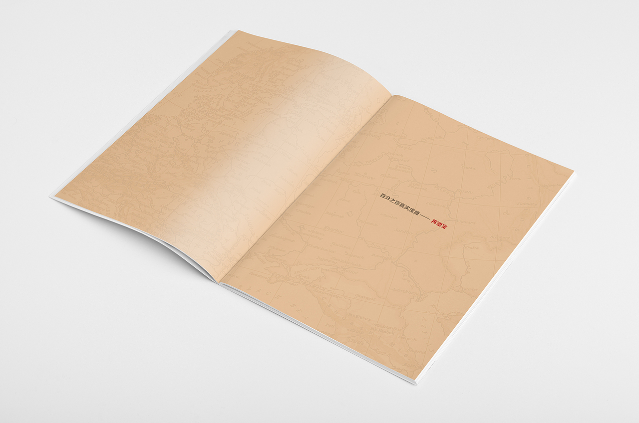 再塑宝公司画册