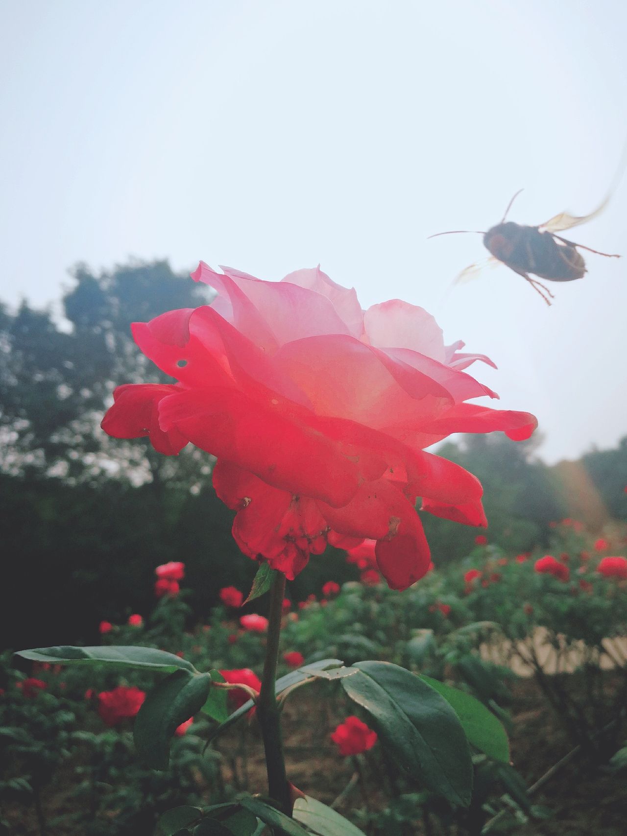 生活（图ZMTU5ODc4MDEy） - 人文/纪实摄影 - 站酷设计师搂着猫睡觉的鱼原创素材 - 站酷ZCOOL