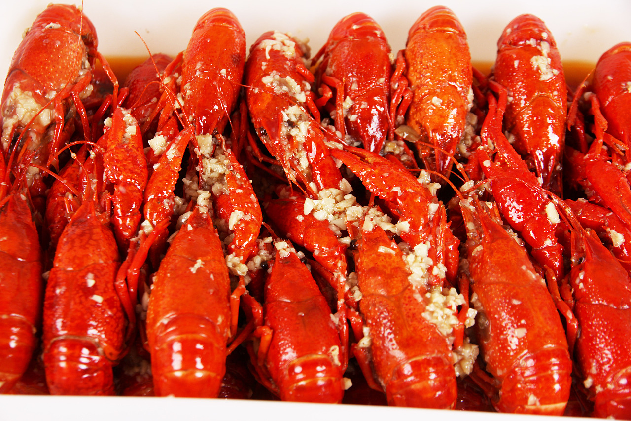 小龙虾 龙虾 摄影