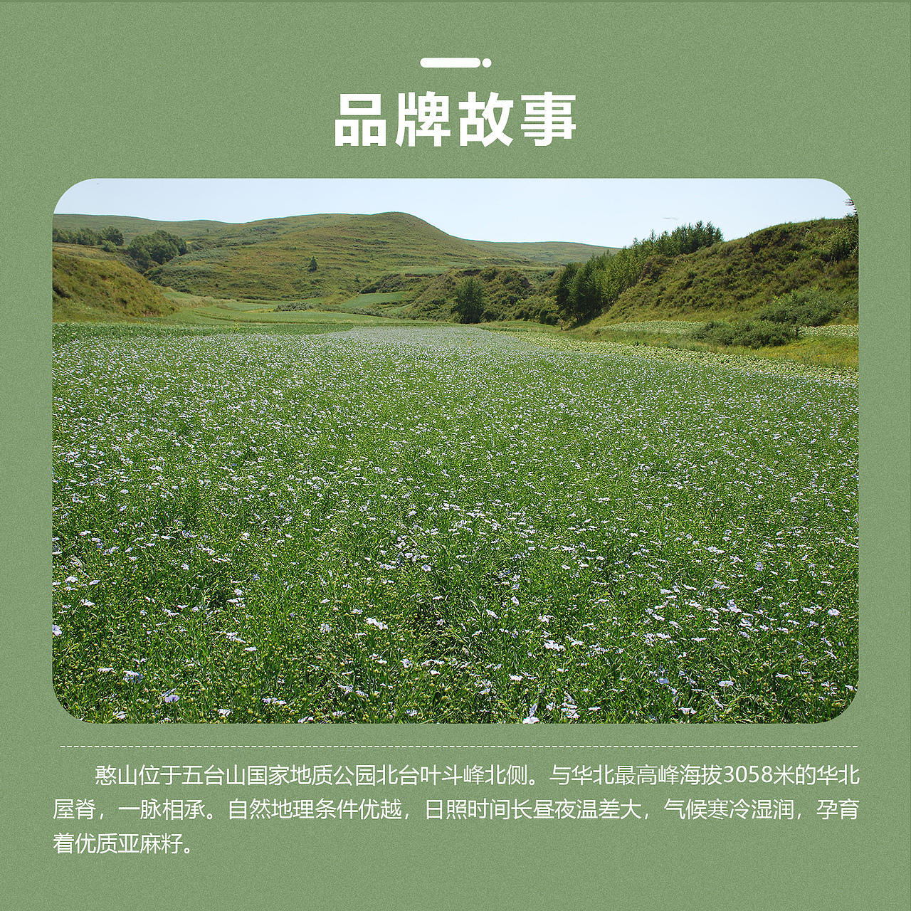 憨山-冷榨亚麻籽油（图ZMjM3MTIzNzMy） - 电商 - 站酷设计师瑜啊瑜原创素材 - 站酷ZCOOL