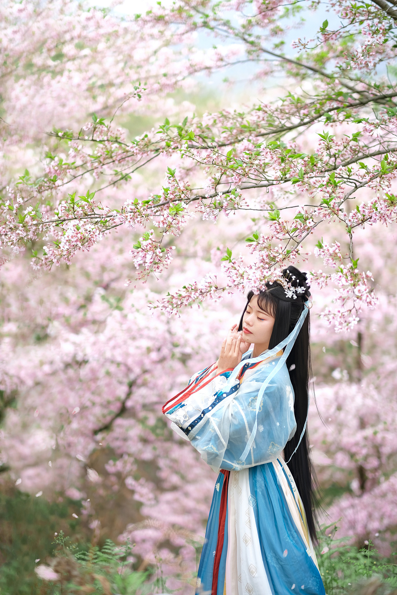 情侣的樱花|摄影|人像摄影|baiyang421 - 原创作品 - 站酷 (ZCOOL)