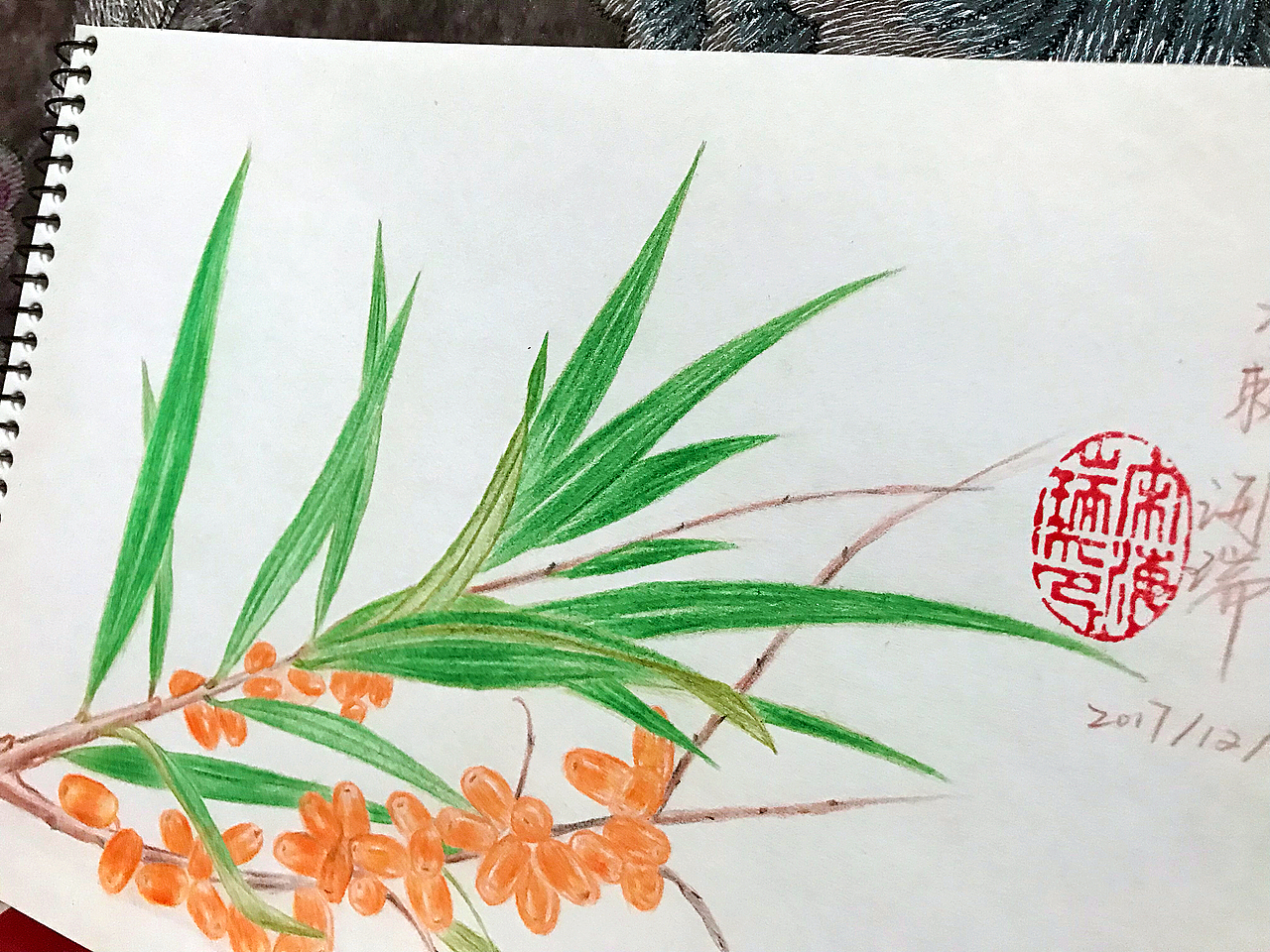 2017_12_19沙棘（圖ZMTAxMDQ2MDcy） - 繪本 - 站酷設(shè)計師hairuisongYG原創(chuàng)素材 - 站酷ZCOOL