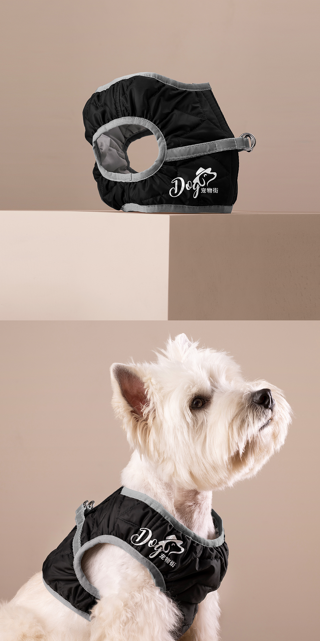 GFC 2023 logo设计集