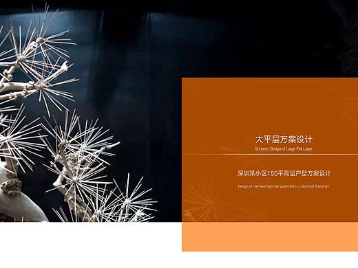 方案