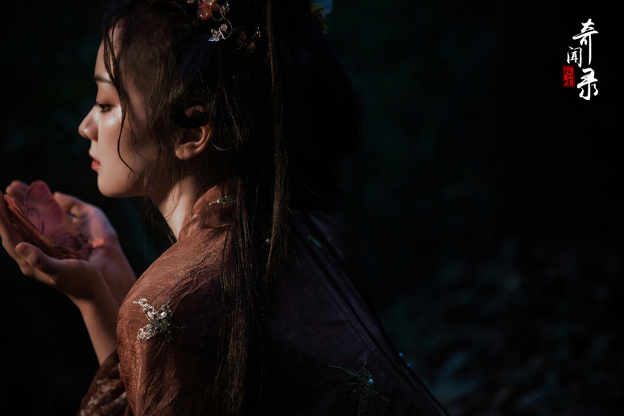 奇闻录·枯叶蝶