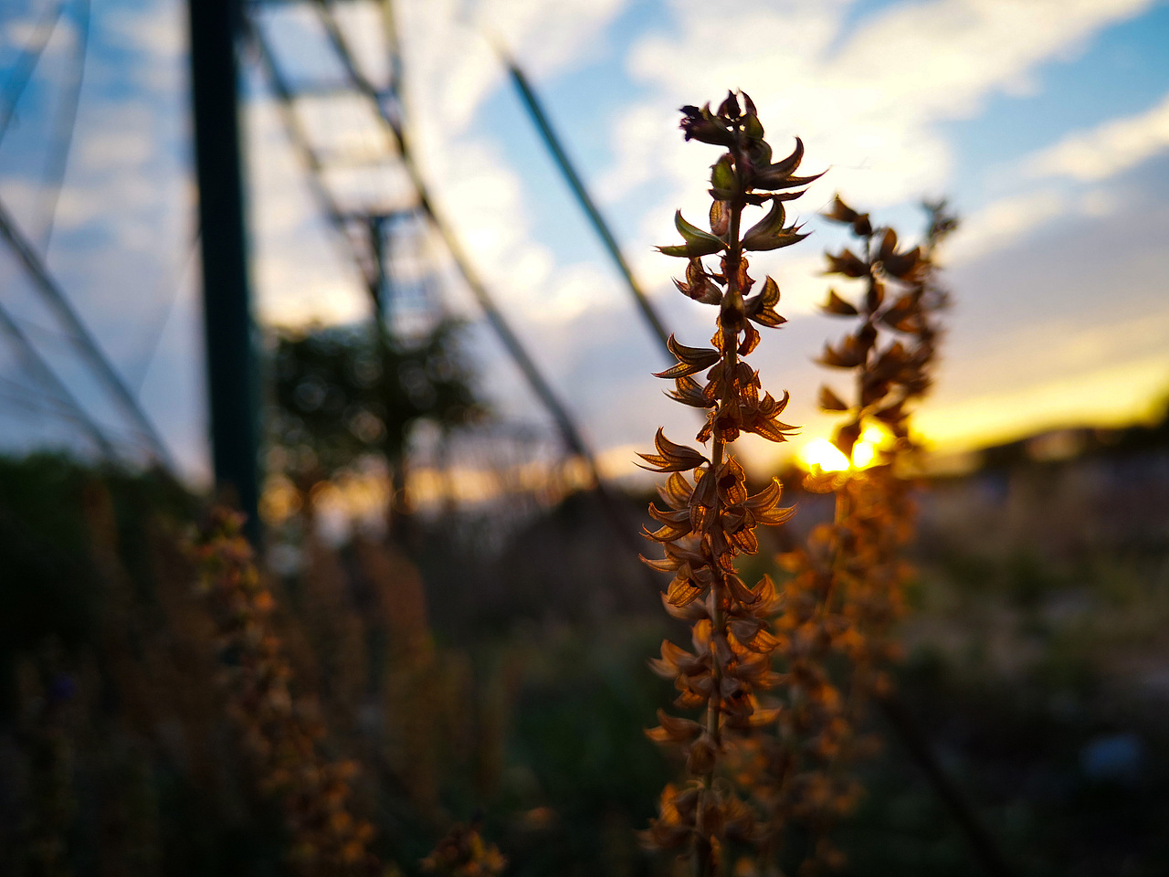 手机随拍~（图ZMTgxMTExNDky） - 风光摄影 - 站酷设计师祁煜尘原创素材 - 站酷ZCOOL