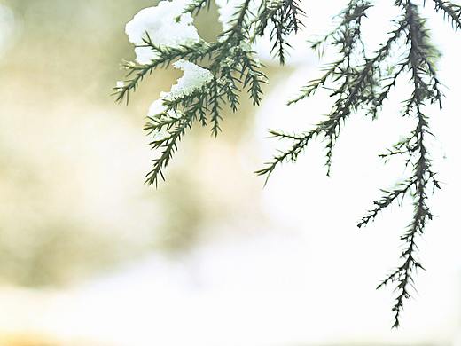 北方—春雪（个人主页-ZMzQzMjM1ODg=） - 环境/建筑摄影 - 站酷设计师顶山小旭原创素材 - 站酷ZCOOL