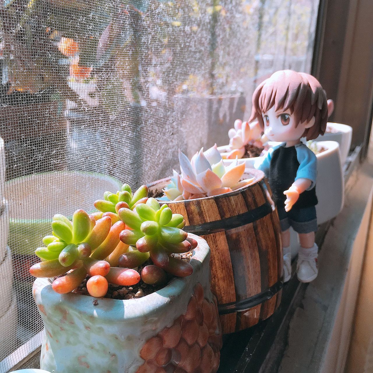 这是哪个小帅哥,好像是?李 .... 李小狼???