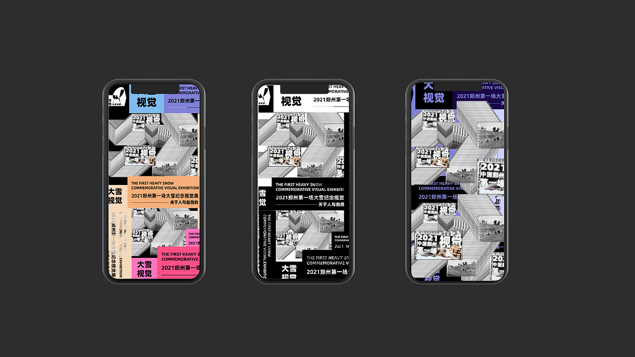 2021中国郑州第一场大雪视觉纪念展