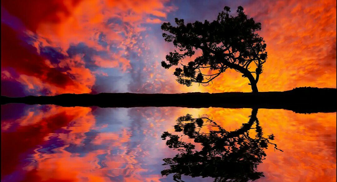 你们不觉得当一天你们喜欢上了一个地方你会一直想去吗