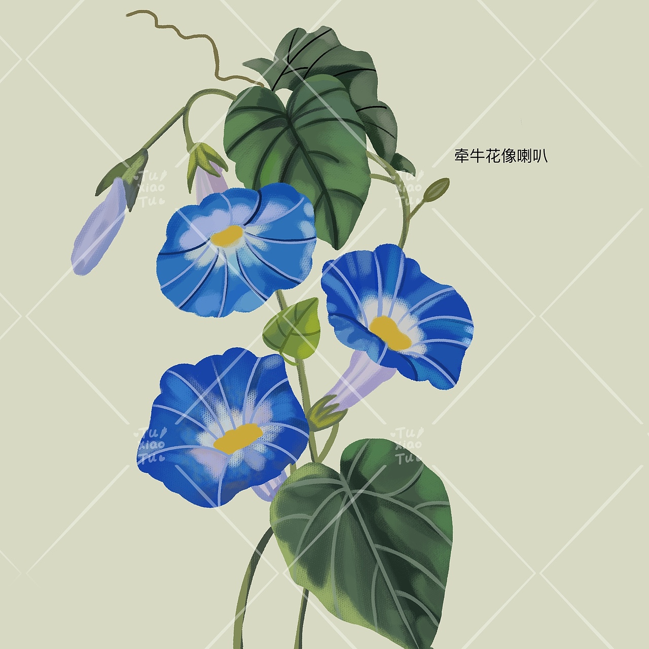 绘本《奶奶的花园》（图ZMzQwNjI1NDAw） - 绘本 - 站酷设计师兔小兔FEI原创素材 - 站酷ZCOOL