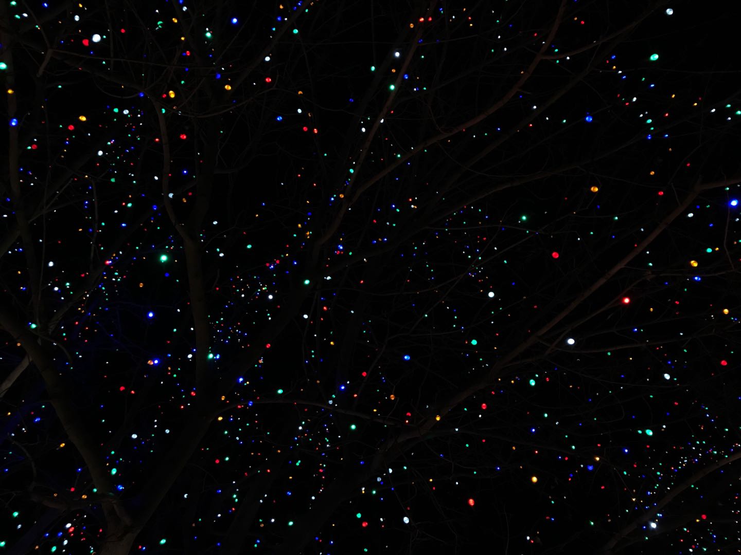 刘晓峰的个人主页（背景预览） - 主页背景设置 - 站酷设计师刘晓峰原创素材 - 站酷ZCOOL