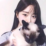 视觉少女的头像