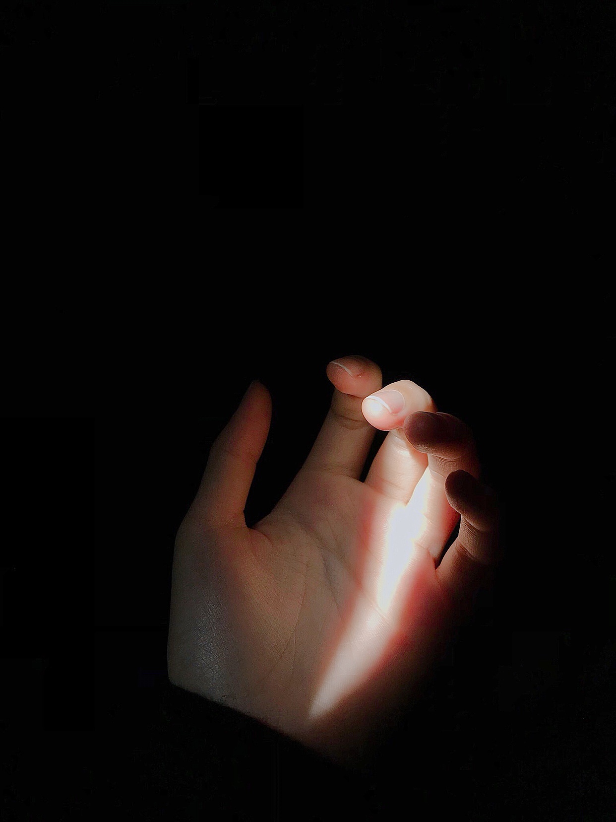 早晨阳光照进我的房间