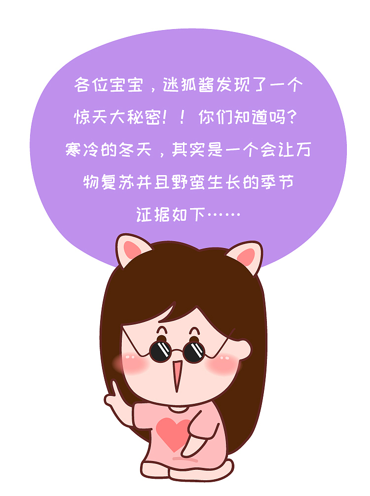 我叫“包被儿”,你好,冬天!