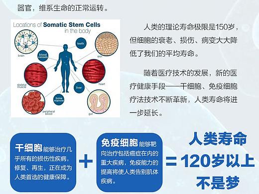 公司介绍