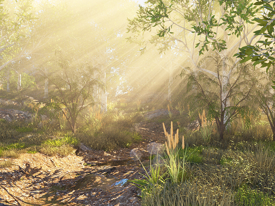 森林小径（图ZMTc1Nzc4ODE2） - 场景 - 站酷设计师久思_follit原创素材 - 站酷ZCOOL