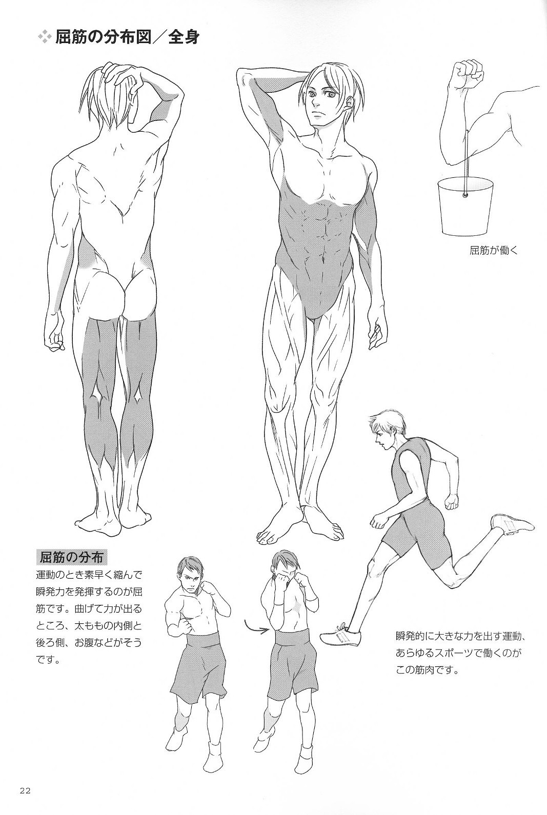 筋肉男子的描绘2