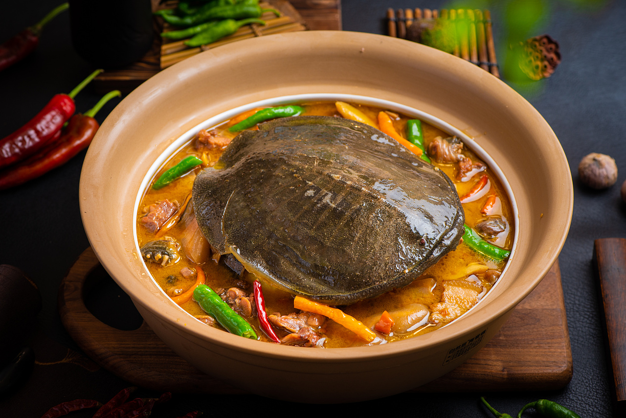 甲鱼|摄影|美食摄影|amz视觉 - 原创作品 - 站酷 (zcool)