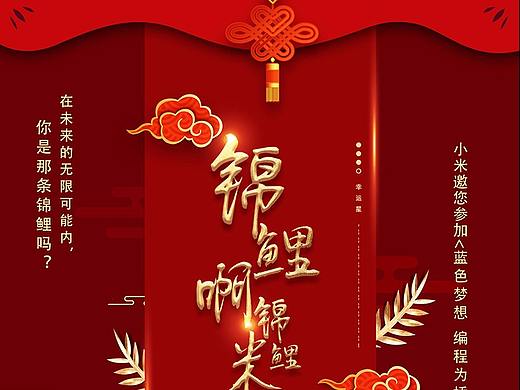 锦鲤活动