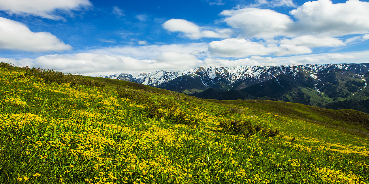 新疆塔城（图ZMTc3MTM5MTQw） - 风光摄影 - 站酷设计师新疆摄影家沈久泉原创素材 - 站酷ZCOOL